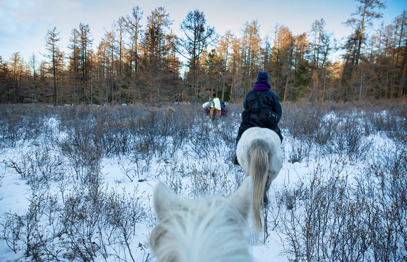 mongolia riding tours